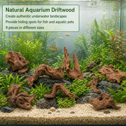 9PCS Driftwood for Aquarium, Aquarium Driftwood, Driftwood for Fishtank Natural Piece for Fish Tank Decoration, Reptile Habitat, or Terrarium