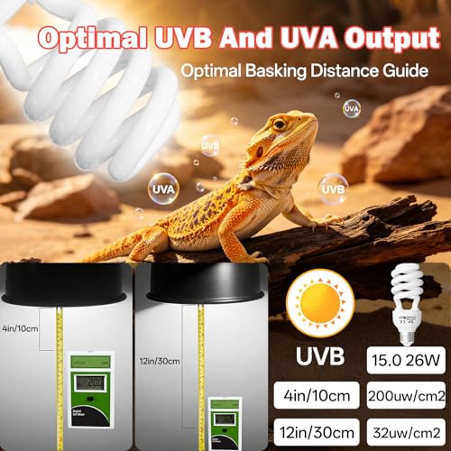 UVB Light for Reptiles 15.0: 26W UVA UVB Reptile Light Bulb for Intense Desert Species - Reptile UVB Light Terrarium Compact Fluorescent Lamp for Reptile and Amphibian with Free UV Sensor Card - size: 6.5INCH-15.0