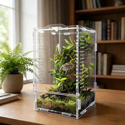 Acrylic Jumping Spider Enclosure: Tarantula Enclosure with Door Lock for Gecko Praying Mantis Snail - Front Opening Arboreal Reptile Terrarium Dual-Side Ventilation Bug Habitat for Desk Decor - color: Acrylic, size: 4.5x4.5x8