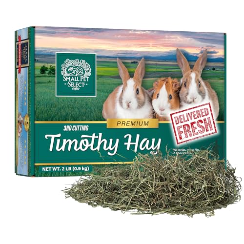 Small Pet Select 3rd Cutting Super Soft Timothy Hay Pet Food for Picky Eaters, Rabbits, Guinea Pigs, and Other Small Animals, Easy to Store Box, 2 LB - size: 2 Pound (Pack of 1)