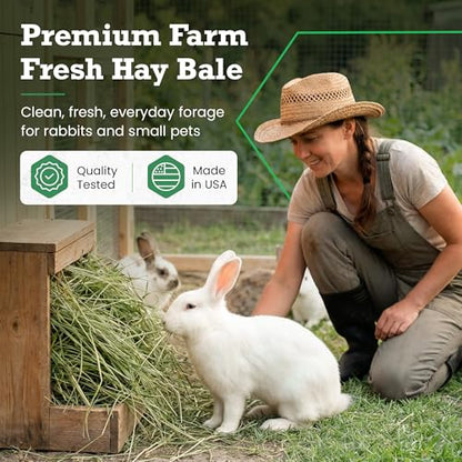 Border Valley Orchard Grass Hay Bale in Bag, 40 lb - Soft High Fiber Hay for Rabbits, Guinea Pigs, Chinchillas, Tortoises, Horses and Livestock - Leafy Grass Hay, Farm-to-Home Freshness