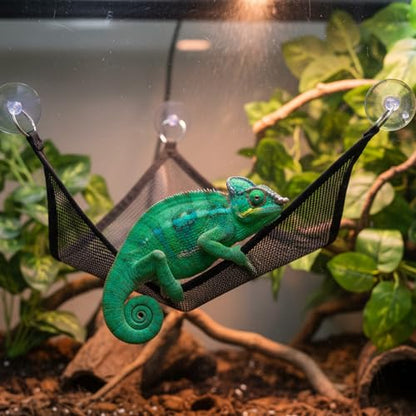 2 PCS Bearded Dragon Lizard Hammock, Breathable Mesh Reptile Hammock, Geckos Hammocks, Suitable for Lizard, Chameleon, Axolotls, Geckos, Anoles, Snakes