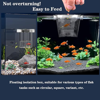 WEAVERBIRD Aquarium Breeder Box, Fish Breeding Box, Acrylic Breeder Isolation Divider Hatching Boxes, Floating Incubation Box, Round Isolation Hatchery Feeding Boxes for Small Fish Fry Hatchery - size: Round