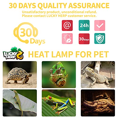 LUCKY HERP New Upgrade 100W Reptile Heat Lamp Bulb (3rd Gen, Safer), Amphibian Basking Spot Light Bulb, UVA Reptile Daylight Bulb for Turtle, Bearded Dragon, Lizard Heating Use (2 Pack) - color: 3rd Gen 100w Heat Lamp, size: 3rd Gen Reptile Heat Lamp