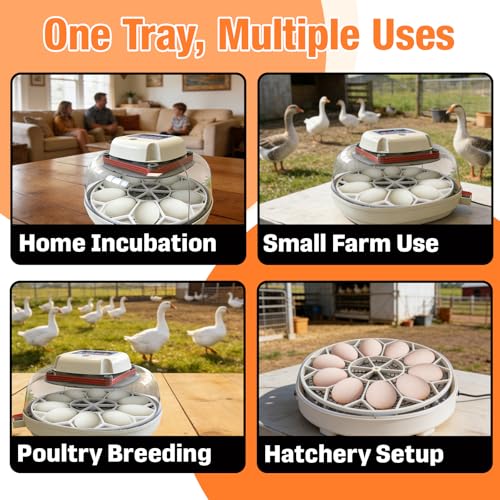 10 Jumbo Eggs JGT360 Goose Egg Tray Compatible with Nurture Right 360 Incubator, Large Goose Egg Turner Tray for Incubating Geese and Other Poultry