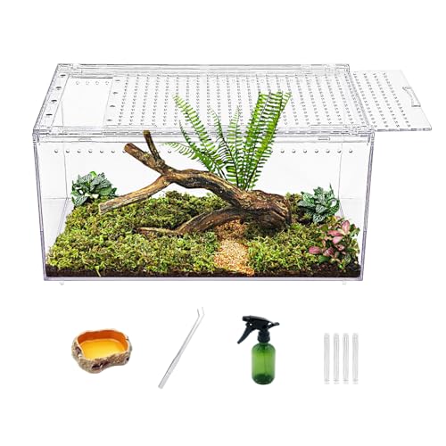 Reptile Growth Reptile PC Terrarium,Tarantula Enclosure,Spider Tank with Magnetic Button.16"x10" x 8" Lizard Enclosure,Reptile Breeding Tank for Insect,Fish,Tarantula,Hermit Crab,Small Bearded Dragon - size: 16" * 10" * 8"