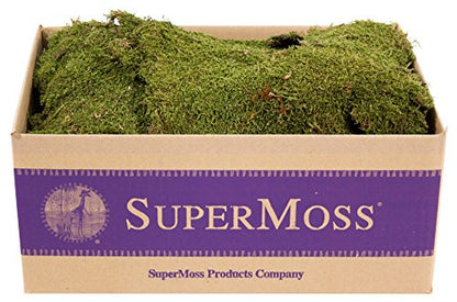 SuperMoss (21588) Sheet Moss Preserved, Natural, 5 Pounds (20-24 sq. ft.) - color: Natural Dried, size: 20-24 sq. ft. Bulk (Appx. 3.5 lbs)