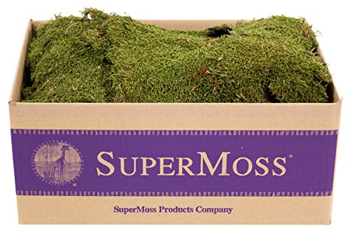 SuperMoss (21588) Sheet Moss Preserved, Natural, 5 Pounds (20-24 sq. ft.) - color: Natural Dried, size: 20-24 sq. ft. Bulk (Appx. 3.5 lbs)