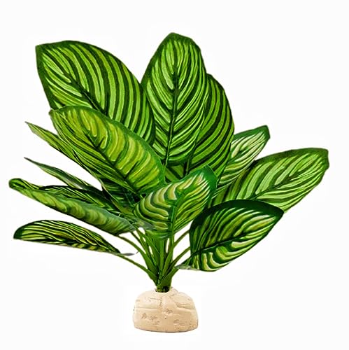 Reptile Terrarium Decor,Amphibian Habitat Decor,Artificial Plants for Crested Gecko Tank Accessories Suitable for Leopard Gecko Bearded Dragon Lizard Chameleon Snake Tortoise (Calathea makoyana-D) - color: Calathea Makoyana -D