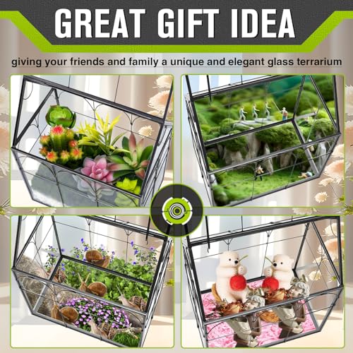 Glass Plant Terrarium with Lid - Geometric House Shaped Terrarium Planter Kit for Succulent Snails Ferns Moss Air Planter, Glass Greenhouse Indoor for Home Garden Office Decor, Tabletop Terrarium