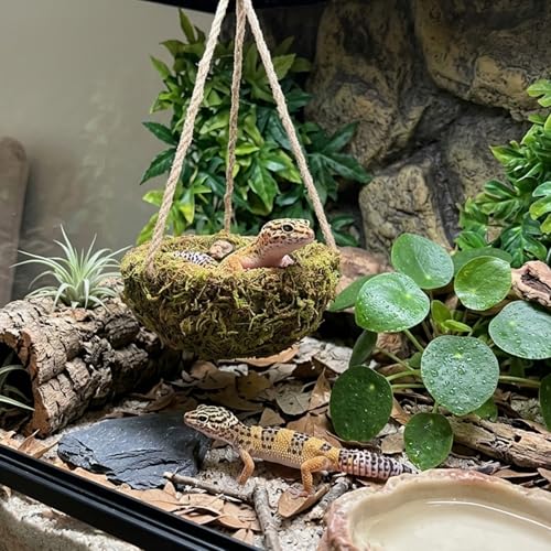 Humid Reptile Hide Leopard Gecko Tank Accessories Coconut Hide for Crested Gecko Tank Decor Handmade Moss Bearded Dragon Hammock Reptile Hideouts for Snake,Tortoise,Frog