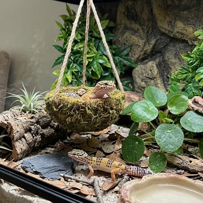 Humid Reptile Hide Leopard Gecko Tank Accessories Coconut Hide for Crested Gecko Tank Decor Handmade Moss Bearded Dragon Hammock Reptile Hideouts for Snake,Tortoise,Frog