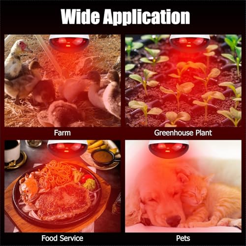 250W Infrared Heat Lamp for Chicken, Red Heat Light Bulb R125 1 Pack, Heat Lamp Bulb for Chick Croop, Reptiles, Pets, Food - size: 1PCS