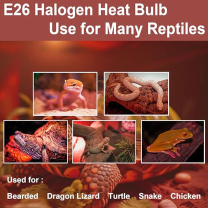 Reptile Heat Bulb 25W Night Red Bulb for Reptiles and Amphibians Tanks, Turtle Bearded Dragon Lizard Cages Frogs Heat Lamp Replacement Bulb, 4 Packs