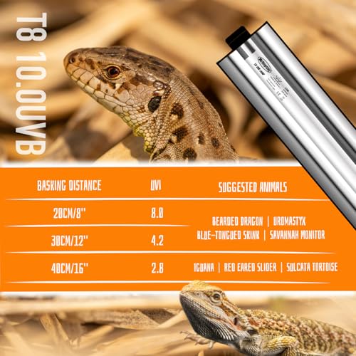 T8 UVB Reptile Light Kit, 15W UVB Light Fixture and 10.0 UVB Lamp Bulb Kit, for Desert-Dwelling Reptiles, Bearded Dragon UVB Light 18 inches - size: 15W UVB10.0 T8 KIT