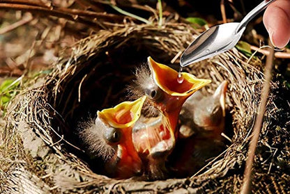 60ML Baby Bird Parrot Feeding Tubes, Liquid Medicine Feeder Push-Tube Pet Cat Dog Feeder with 2 Pcs Stainless Steel Metal Feeding Spoon - size: 60ML