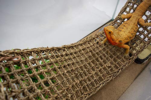 PENN-PLAX Reptology Lizard Lounger – 100% Natural Seagrass Fiber – Great for Bearded Dragons, Anoles, Geckos, and Other Reptiles – Extra Large - size: X-Large (Pack of 1)