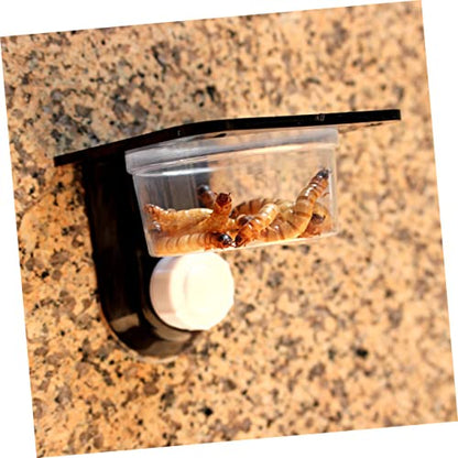 3pcs Reptile Food Water Bowl Tortoise Dish Suction Cup Style for Lizards Glass Tank Bowl - size: Size 4