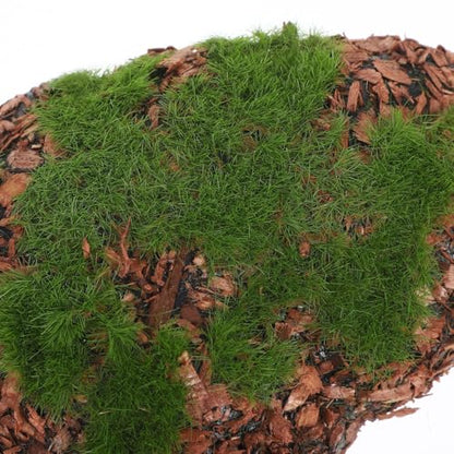 Hemoton 6pcs DIY Garden Decor Lifelike Moss Rock Fake Mossy Blocks for Floral Arrangements Miniature Landscape Accessories