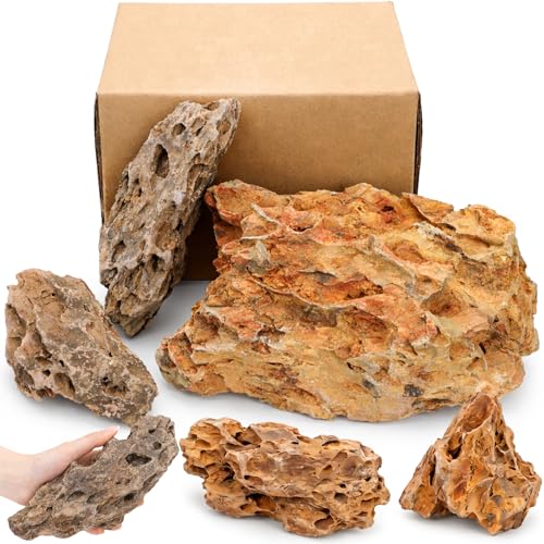 Eorbow 12lbs Natural Dragon Stones, Decorative Aquarium Rocks, Large Fish Tank Rock for Terrariums Aquarium Landscaping Paludariums Reptile Enclosures Bonsai Gardens, Mixed Sizes 6-12 Inches