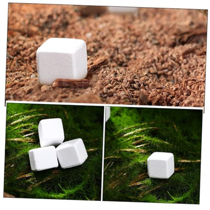Kisangel 30pcs Natural Calcium Blocks for Turtles Tortoises Lizards Frogs Chameleons Enriches Water Quality Supports Bone Strength Enhances Resistance Mineral for Reptile Amphibian Health