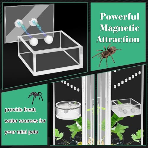 Windspeed 2+1P 1.8 inch Mini Jumping Spider Feeding Dish Magnet Tarantula Water Bowl for Spider Feeder Water Dish for Tarantula Tank Enclosure Accessories, with A Dropper (Square and Round)