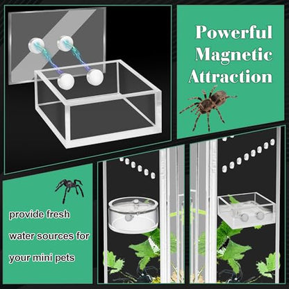 Windspeed 2+1P 1.8 inch Mini Jumping Spider Feeding Dish Magnet Tarantula Water Bowl for Spider Feeder Water Dish for Tarantula Tank Enclosure Accessories, with A Dropper (Square and Round)