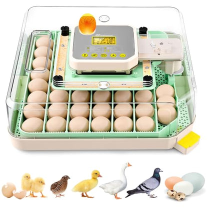 Sailnovo 48 Egg Incubator for Hatching Eggs with Auto Egg Turning, Precise Temp & Humidity Control, 360°Viewing, Egg Candler, Incubator for Chicken Eggs/Duck/Quail,Ideal for Farm/School/Lab,Green