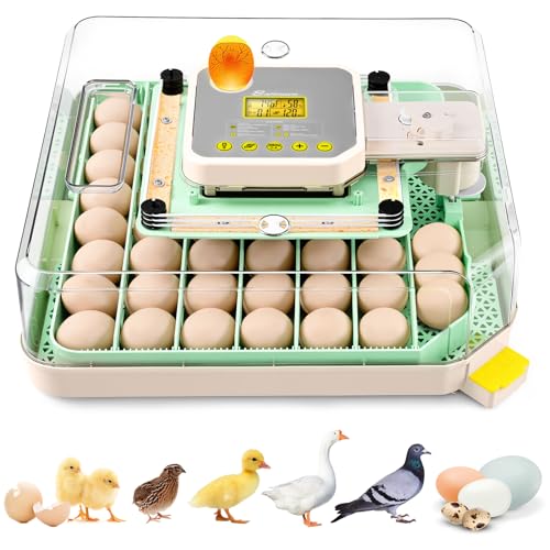 Sailnovo 48 Egg Incubator for Hatching Eggs with Auto Egg Turning, Precise Temp & Humidity Control, 360°Viewing, Egg Candler, Incubator for Chicken Eggs/Duck/Quail,Ideal for Farm/School/Lab,Green