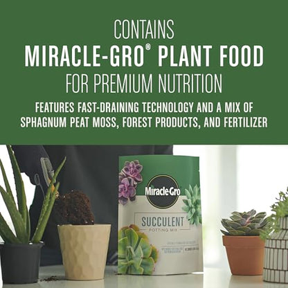 Miracle-Gro Succulent Potting Mix, 4 qt. | For Indoor Succulents, Aloe Vera and More, Made with Miracle-Gro Plant Food - size: 1 Pack, style: Succulent
