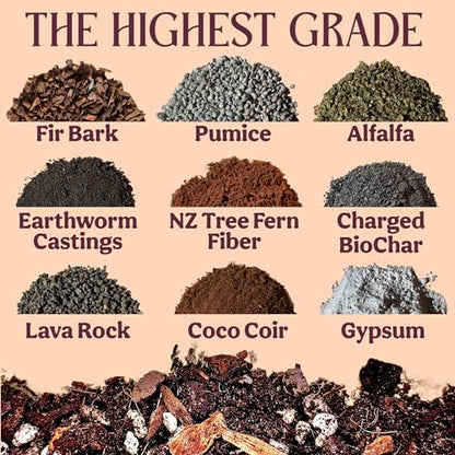 Craft Aroid Potting Mix- Elite Organic Alocasia, Philodendron, Monstera Soil Mix, Chunky, Well Draining Potting Soil for Indoor Plants, All Tropical Plants & Houseplants, Sustainable & Peat Free 1QT - size: 1 Quart