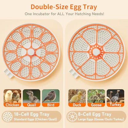 18 Egg Incubator, Automatic and Adjustable Egg Turning, Egg Candler, Temperature and Humidity Control, Hatch Day, 2 Size Egg Tray, Automatic Water Refill, Hatching Chicken Quail Duck Turkey Goose Bird