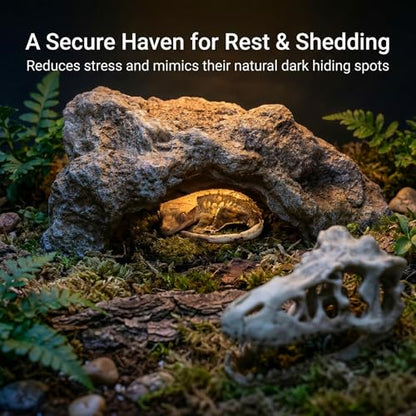 Anxingo Reptile Rock Reptile Cave Hideout for Snakes/Geckos/Lizards/Turtles and Other Amphibians, with Dinosaur Skull (Large) - size: L