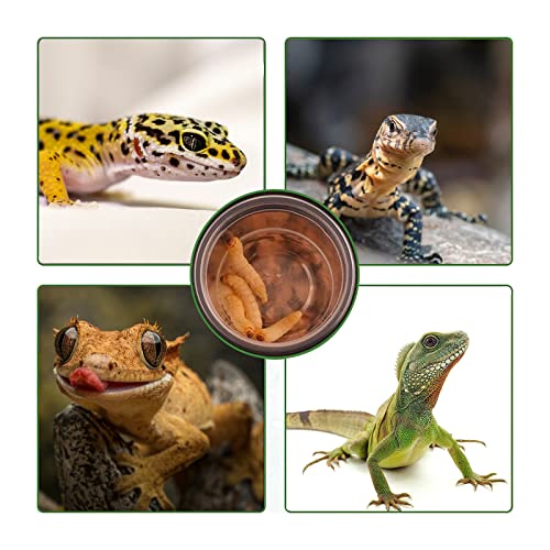 0.5oz Crested Gecko Food and Water Feeding Cups, Reptile Feeder Bowls, Plastic Replacement Food Dish for Lizard and Other Small Pet Ledge Accessories (500 pcs) - size: 0 Fl Oz (Pack of 500)