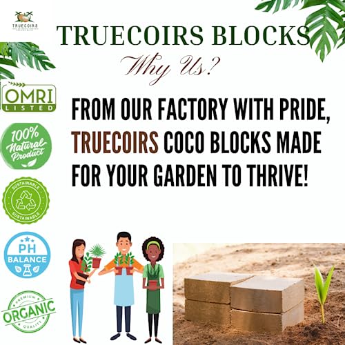 10 LB Premium Organic Coco Coir Compressed Natural Brick with Low EC and PH Balance - High Expansion for Indoor and Outdoor Potting Soil, Renewable Coco Soil for Gardening