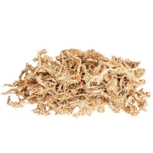 SuperMoss (22325) Orchid Sphagnum Moss Dried, Natural, 1 Pound Mini Bale - size: 1.1 lbs, style: Mini Bale