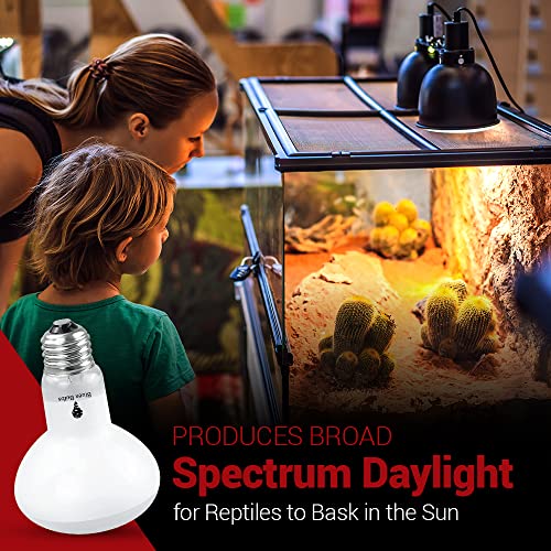 4 Pack 75-Watt Basking Light for Reptiles & Amphibians - Heat Lamp Bulbs for Glass Terrariums, Suitable for Bearded Dragons, Lizards, Iguanas - Broad Spectrum Reptile Basking Bulb