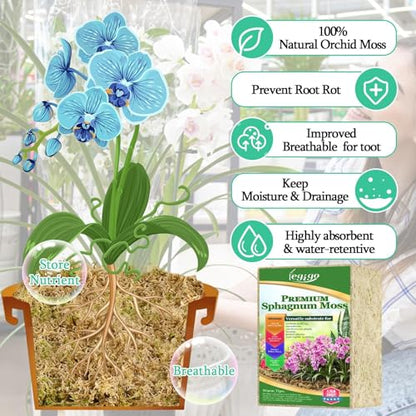 Legigo 1.1lb Sphagnum Moss for Plants, 20QT Orchid Moss Potting Mix | Long Fiber Sphagnum Moss Dried for Plants Indoor, Orchid Repotting, Succulent, Carnivorous Plants, Terrarium and Reptiles - size: 1.1lb