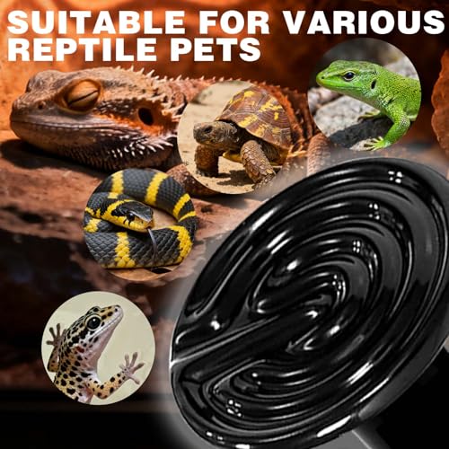 100W Ceramic Heat Emitter (2-Pack) - Reptile Heat Lamp Bulb, No Light Coil Emitter for Terrariums, Brooders & Chicken Coops - E26 Base for Bearded Dragon, Snake, Lizard, Turtle