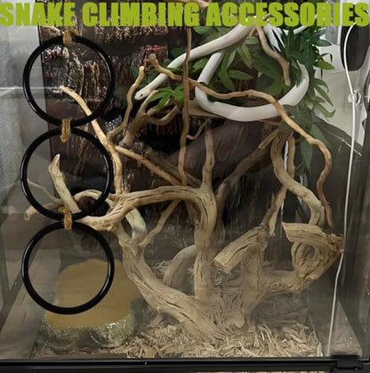 Snake Enrichment Toys Ball,Jungle Gym Ball and Enrichment Rings for Small Ball Python Corn Snakes,Reptiles Climbing Toy,Snake Exploring&Climbing Accessories