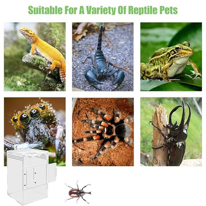Jumping Spider Enclosure, Compact Acrylic Terrarium for Jumping Spiders, Tarantulas, and Praying Mantis - Small Insect Habitat Enclosure with Transparent Design (5.9x5.9x9.0 Inch)
