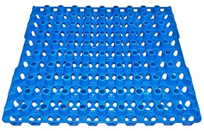 12 90 Egg Plastic Trays Quail Pigeon Dove Bird Flat Carton