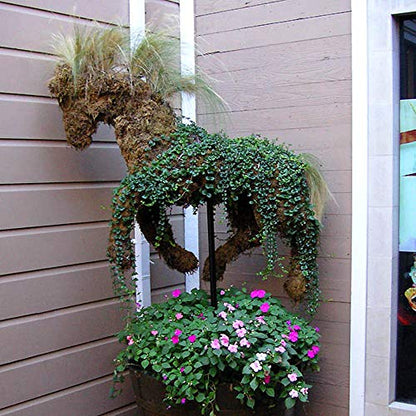Mosser Lee ML0110 Long Fibered Sphagnum Moss – 432 cu in – High Water Retention, Soil-Free Gardening, Topiary Filler, Hanging Baskets, Crafts & Decoration - style: Spagnum Moss