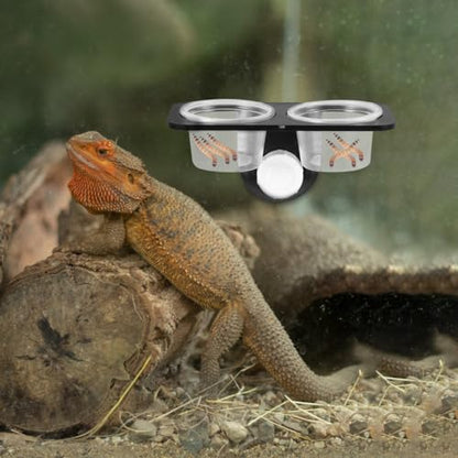balacoo Reptile Feeder Food and Water Bowl with Suction Cup Wall Mounted Acrylic Dish for Gecko Lizard Turtle Scorpion Small Reptiles Amphibians 4.52X2.36X2.16In