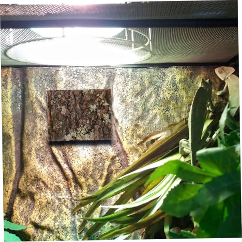 SUPVOX Natural Cork Bark for Reptile Tank Decor Tree Bark Hide for Reptile Habitat Aquarium Background Decoration for Lizard Snake Gecko and Other Reptiles