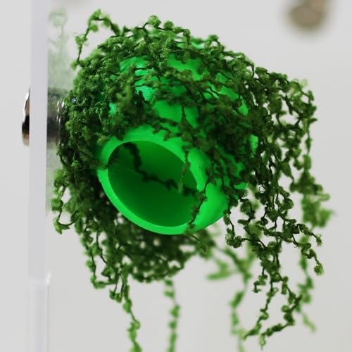 Jumping Spider Enclosure Accessories 4Pcs Cocoon-Shaped Jumping Spider Hideaway with Artificial Moss and 1 Pcs Resting Platform Magnetic Small Animal Shelter Toy (Light Green) - color: Light Green