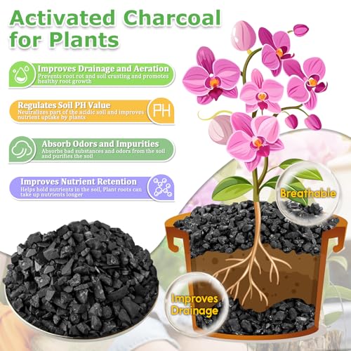 Legigo 12QT All Natural Horticultural Charcoal- Activated Hardwood Plant Charcoal for Soil Amendment, Conditioning Bonsai Soil, Succulent, Terrarium Supplies, Indoor Plant Potting Soil - color: 12 QT