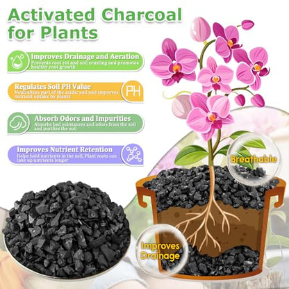 Legigo 12QT All Natural Horticultural Charcoal- Activated Hardwood Plant Charcoal for Soil Amendment, Conditioning Bonsai Soil, Succulent, Terrarium Supplies, Indoor Plant Potting Soil - color: 12 QT