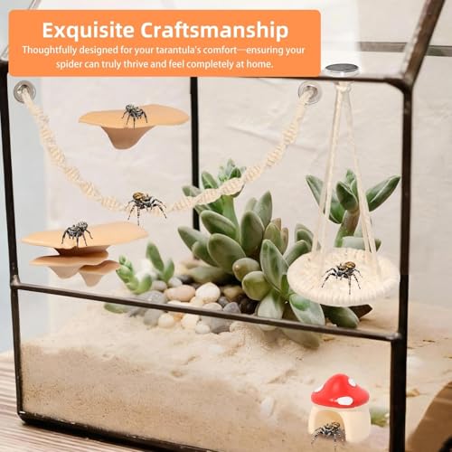 8 Pcs Jumping Spider Hide Enclosure Habitat, Spiders Hideout Climbing Rope Bridge Swings & Web, Mushroom Shelf, Jump Platform with Magnets for Pet Spider Habitat Accessories