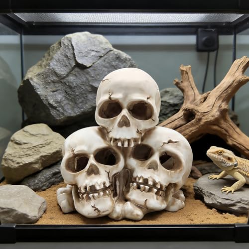 Resin Skull Aquarium Ornament, Hide Cave for Fish & Reptile Tank | Hide house for betta fish and reptiles to play, spacious resting cave, Halloween decor for aquarium and reptile tank